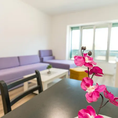 Apartment Toro Orca *